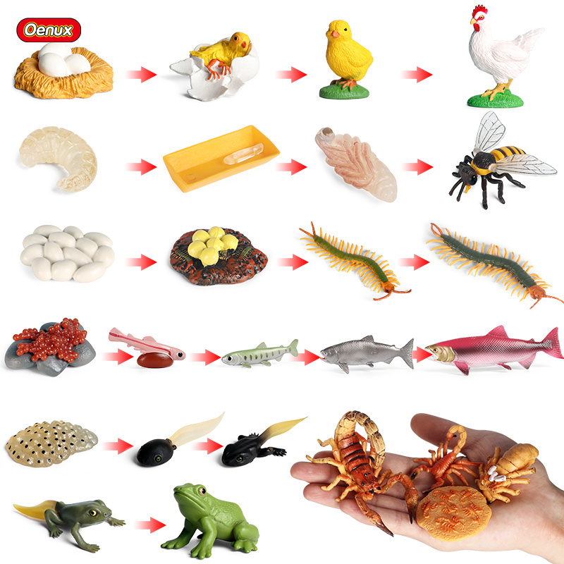 Baby Products Pictures - Oenux Mainan Anak Miniatur Pendidikan Bayi