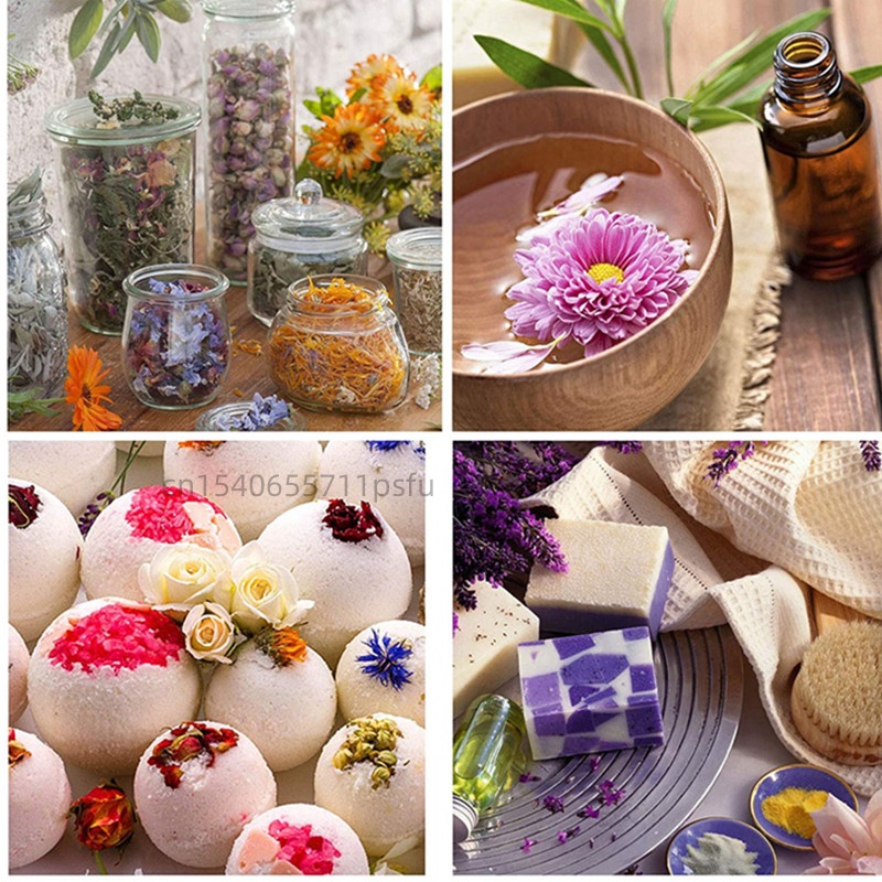 Bunga Kacang Kupu-kupu Kering  - Baby Products Organic ulasan dan harga